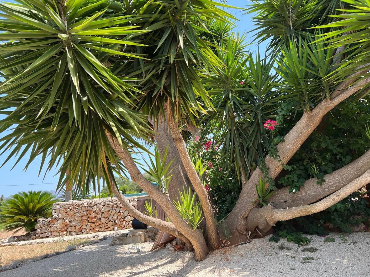 Casa La Naranja Boutique B&B Pedreguer Dış mekan fotoğraf